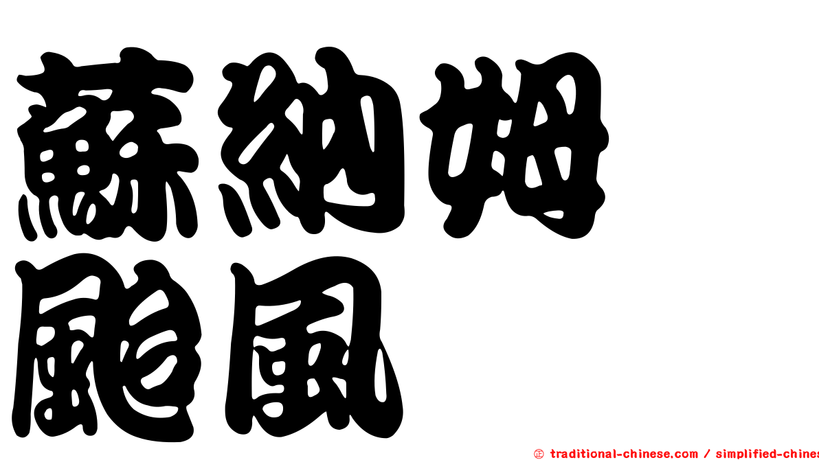 蘇納姆　颱風